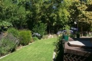 BackYard_sm.jpg